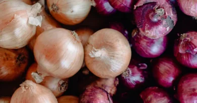 Bangladesh Restricts Import of Onion from India