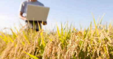 The Agtech Market in Brazil Is Just Getting Started