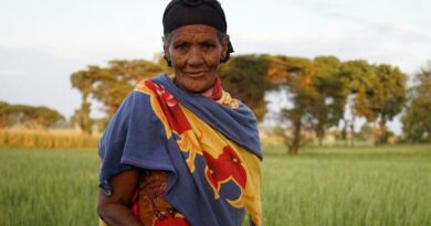 Bargaining for Better: How gender roles in household decision-making can impact crop disease resilience