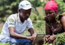 Plantwise programme made considerable progress to help strengthen plant health systems in Burundi