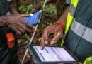 International Day of Forests: FAO, Google and partners launch solution easing people’s ability to monitor and protect forests