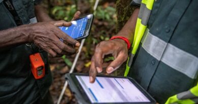 International Day of Forests: FAO, Google and partners launch solution easing people’s ability to monitor and protect forests