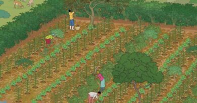 Benefits of agroforestry in the Sahel