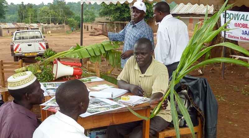 Plant clinics showcased at Harvest Money Expo in Uganda to help empower the country’s young smallholder farmers