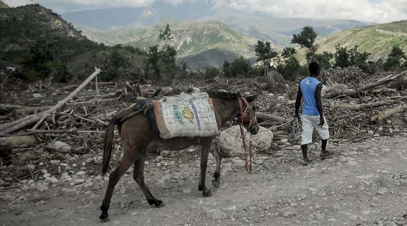 Haiti: Escalating violence and economic shocks compound hunger crisis
