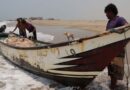 Red Sea shipping disruptions likely to exacerbate the dire humanitarian situation in Yemen - new FAO report warns