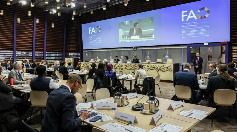 FAO Director-General urges reversal of growing food insecurity at SDG2 meeting