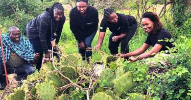 Drones, insects and local community to tackle Kenya’s thorny problem