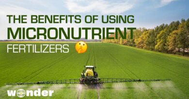 The Benefits of Using Microfertilizer