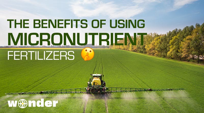 The Benefits of Using Microfertilizer