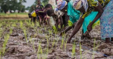 Role of African women and young people in agricultural service provision investigated in new CABI-led study