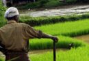 Proposal for Agri Income Slabs: Parliamentary Panel Calls for Tax Code Differentiation