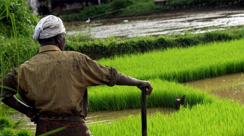 Proposal for Agri Income Slabs: Parliamentary Panel Calls for Tax Code Differentiation