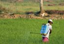 Government of India Urges State Authorities to Ensure Compliance with Insecticide Labeling Requirements