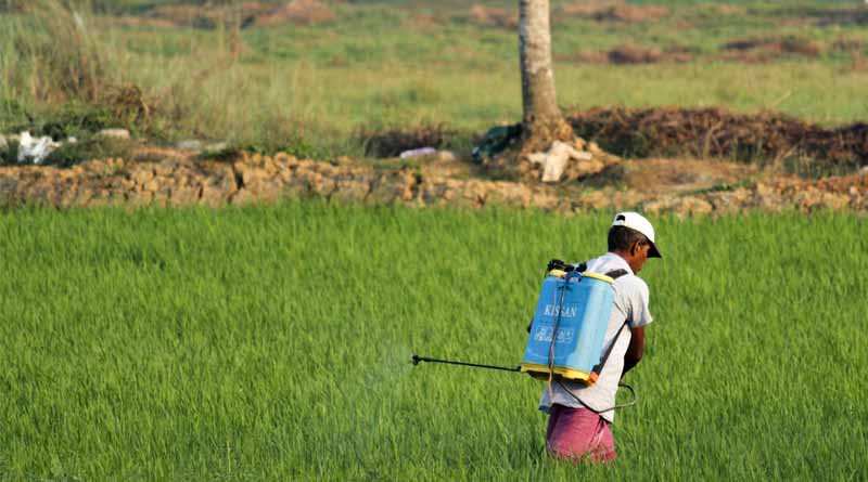Government of India Urges State Authorities to Ensure Compliance with Insecticide Labeling Requirements