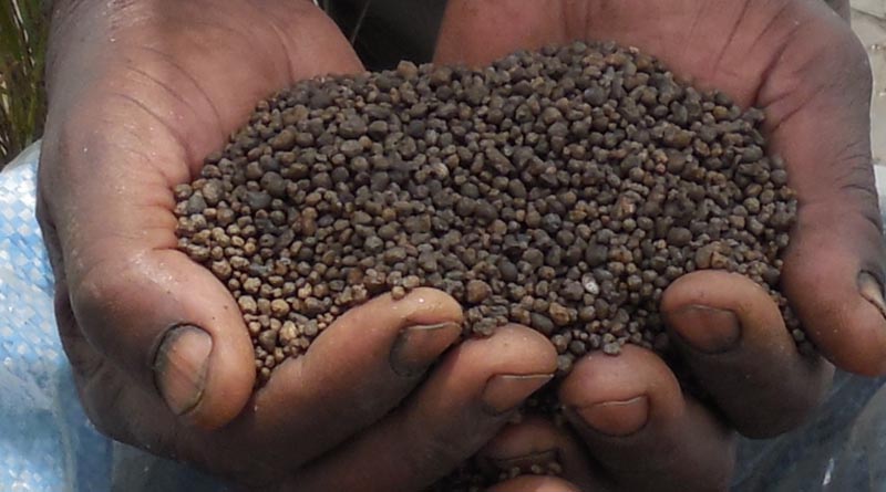 Upcoming Africa Fertilizer And Soil Health Summit Charts A Productive Path For African Agriculture