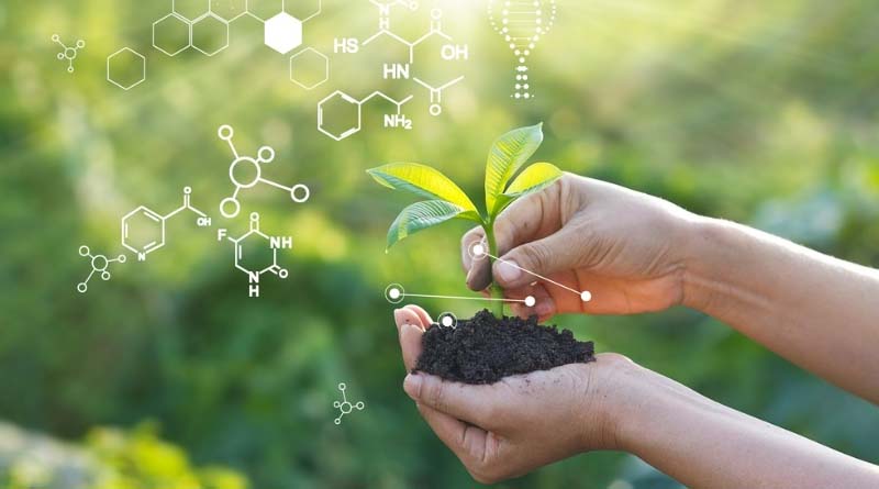 Bionema Group Launches Tender for Innovative Plant Health Solutions
