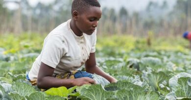 Overcoming social norms to boost women farmers’ access to agricultural advisory services
