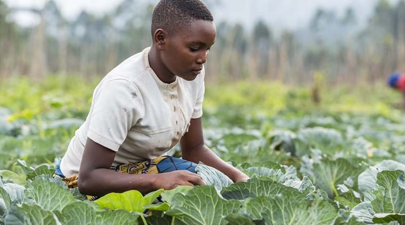 Overcoming social norms to boost women farmers’ access to agricultural advisory services