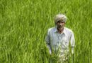 The Transformative Influence of Technology on Crop Insurance in India