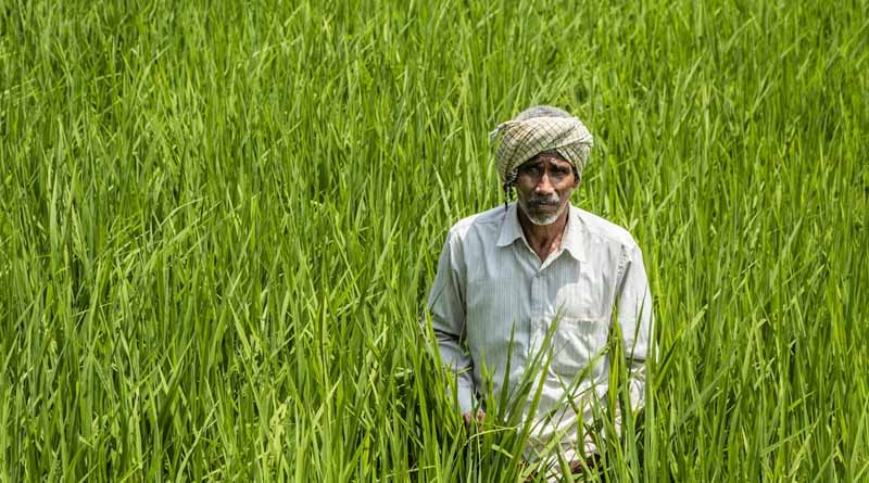 The Transformative Influence of Technology on Crop Insurance in India