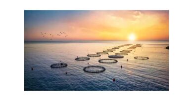 Many farmed fish parasite-free but more data needed