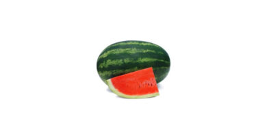 Known-You Seed Watermelon Variety Suprit
