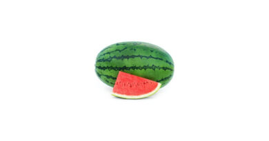 Known-You Seed Watermelon Variety Vasudha