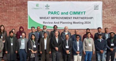 Unlocking the power of collaboration in global wheat science