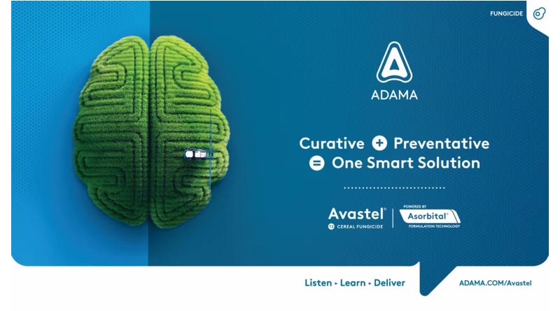 ADAMA Launches New Cereal Fungicide Avastel®