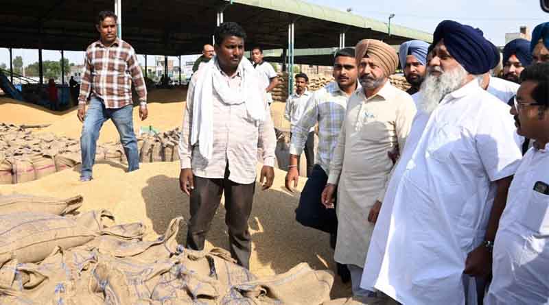 AAP Government Has Ruined Punjab’s Agricultural Economy: Shiromani Akali Dal