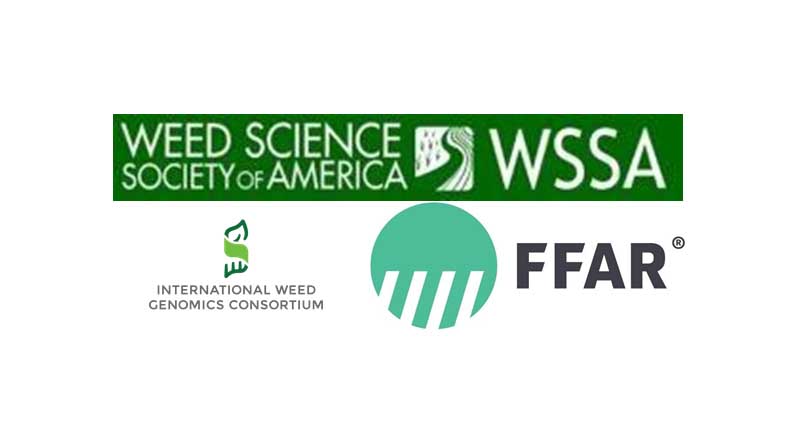 International Weed Genomics Consortium Celebrates Three Years of Achievements
