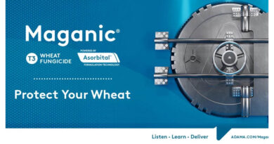 ADAMA Launches New Cereal Fungicide Maganic®