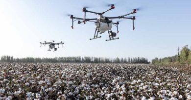 Government Extends Interim Approval for Drone-Based Pesticide Application