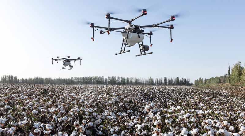 Government Extends Interim Approval for Drone-Based Pesticide Application