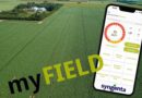 Potato Agronomy Forecasts Now Available in Myfield