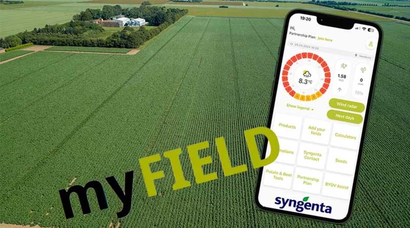 Potato Agronomy Forecasts Now Available in Myfield