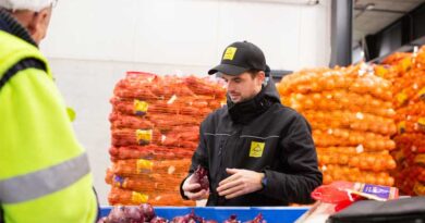 Hardness and Skin Firmness in Onions Crucial for Retail, Especially During Shortages