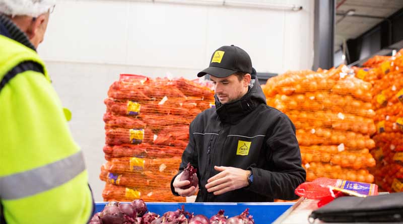 Hardness and Skin Firmness in Onions Crucial for Retail, Especially During Shortages