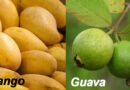 Mango, Guava