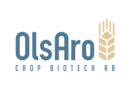 OlsAro raises €2.5m seed round to expand AI-enabled climate smart crop breeding platform
