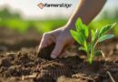 Dig Deeper: 5 Reasons to Make Soil Testing a Priority