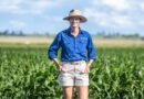 Agronomy expertise set to bring benefits to Western Downs growers
