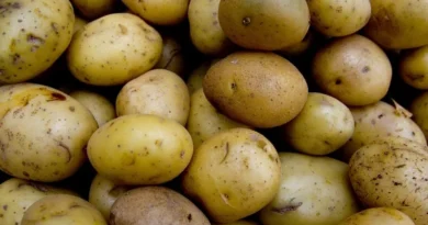 Potato: a Story of Generosity