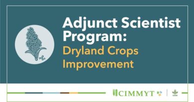 CIMMYT Academy invites applications for Adjunct Scientist Program: Dryland Crops Improvement