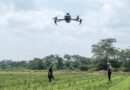 FAO highlights the potential of AI and the digital revolution to transform the world's agrifood systems