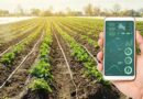 Global Imaging Technology for Precision Agriculture Market Was Valued at $955.4 Million in 2022