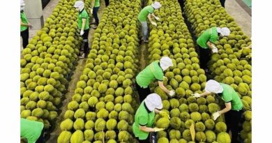 Vietnam's Vegetable and Fruit Exports Reach Over 2 Billion USD Since the Start of the Year