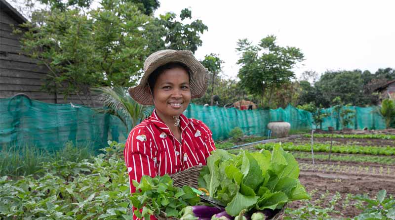 FAO Welcomes the Celebration of the International Year of the Woman Farmer in 2026