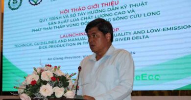IRRI and MARD Launch Technical Guidelines and Manual for Sustainable Rice Production